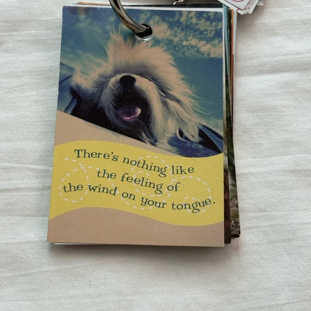 Klutz Deck of Dog-isms Wisdom Trading Cards - Multicolor. Y2K